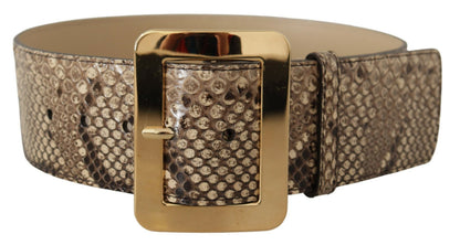 Ceinture large Dolce & Gabbana en cuir exotique marron avec boucle en métal doré