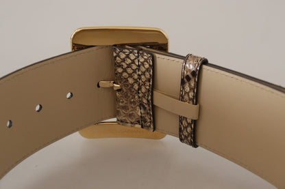 Ceinture large Dolce & Gabbana en cuir exotique marron avec boucle en métal doré