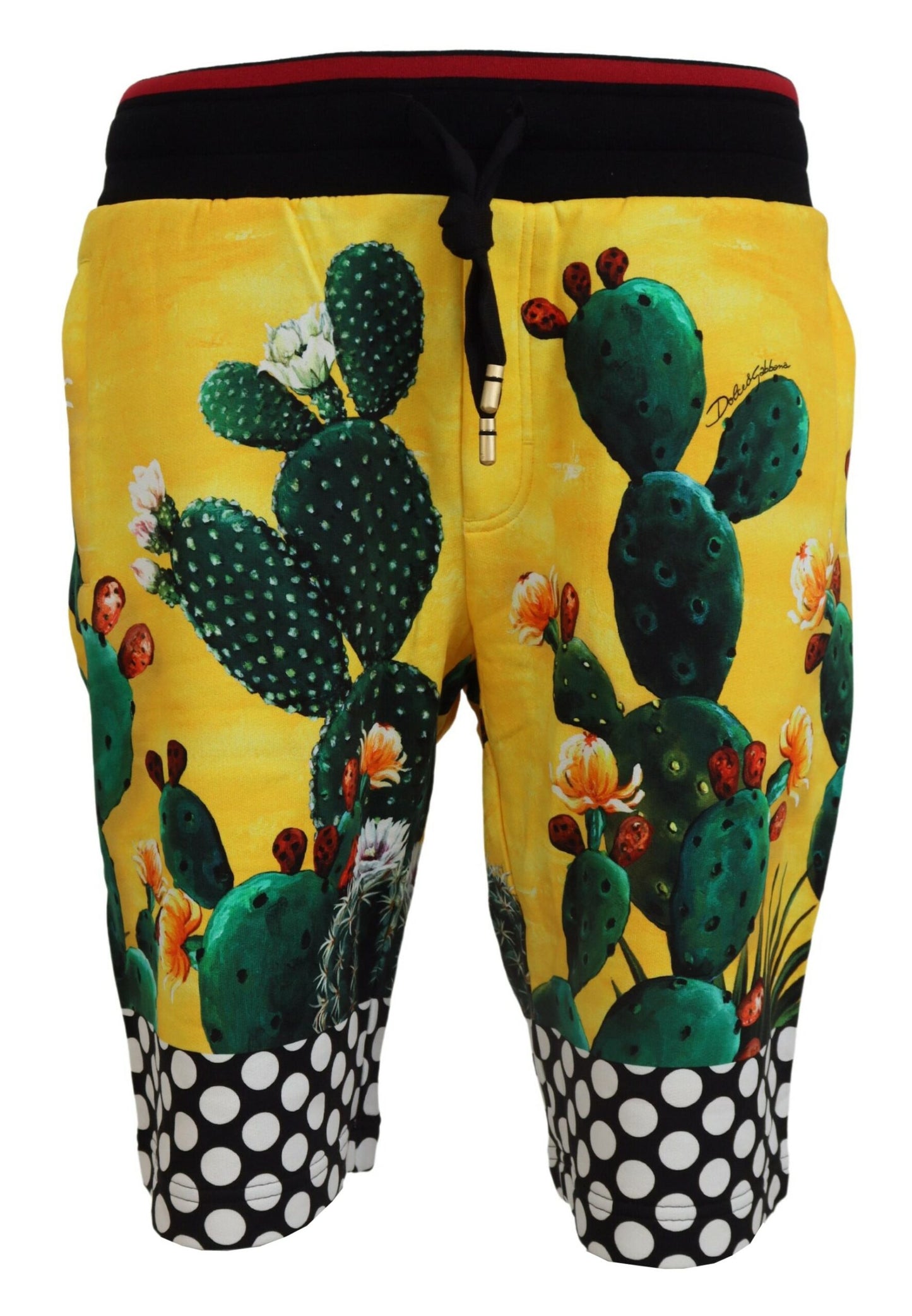 Short de survêtement en coton imprimé cactus multicolore Dolce & Gabbana