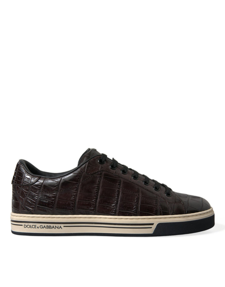 Zapatillas casuales de hombre Dolce & Gabbana de piel exótica de cocodrilo marrón