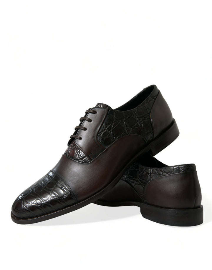 Zapatos de vestir formales Dolce & Gabbana de piel exótica marrón para hombre