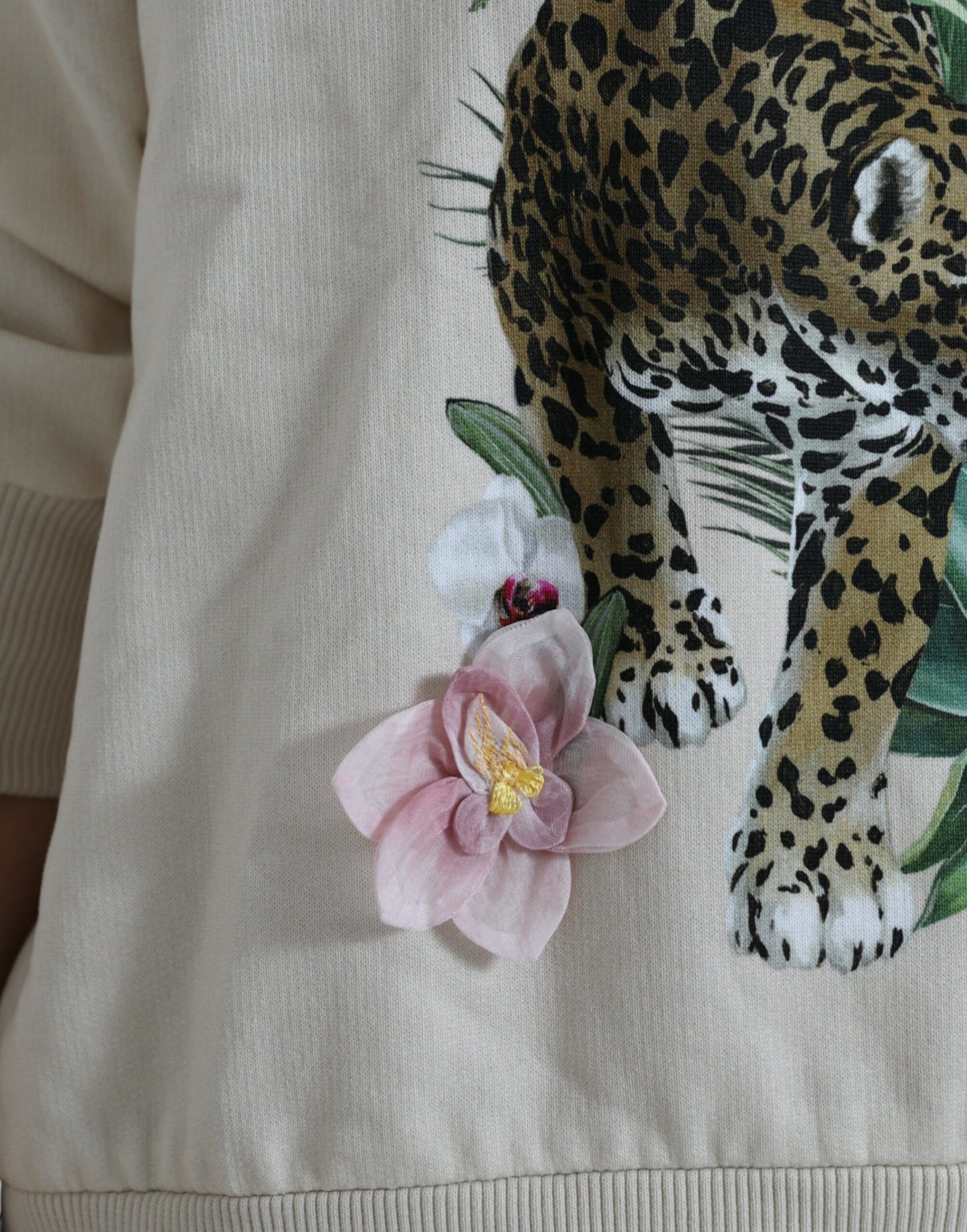 Pull en Coton Imprimé Jungle Beige Dolce & Gabbana