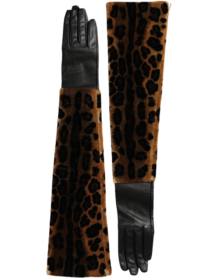 Gants mi-longs en cuir léopard noir et marron Dolce & Gabbana