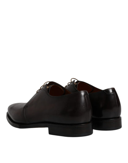 Chaussures Richelieu Homme Habillées Dolce & Gabbana en Cuir Marron à Lacets