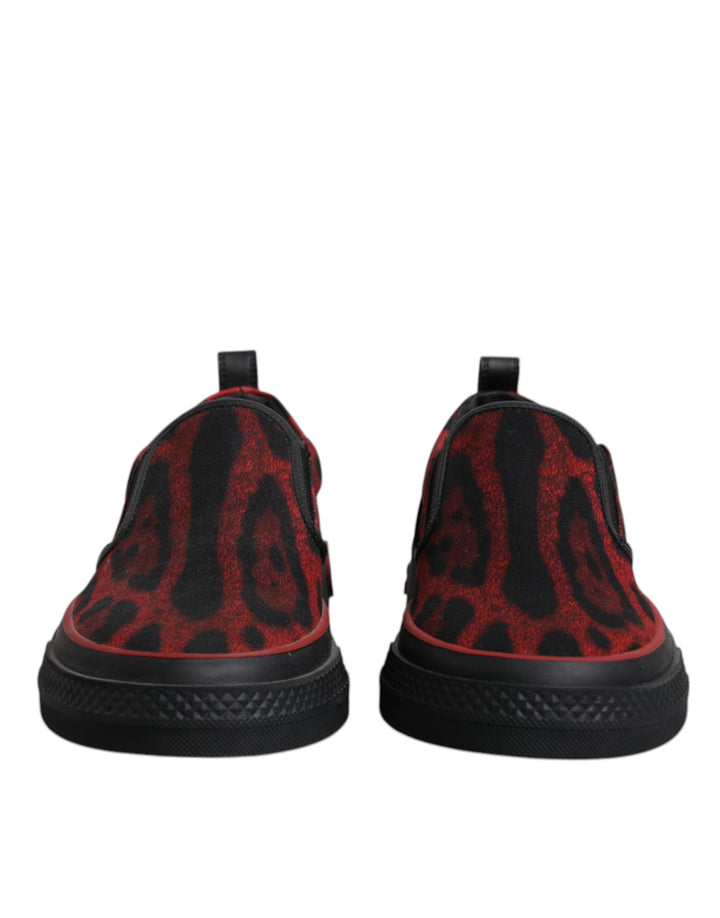 Zapatillas Bajas de Hombre de Algodón con Estampado de Leopardo Rojo y Negro Dolce & Gabbana