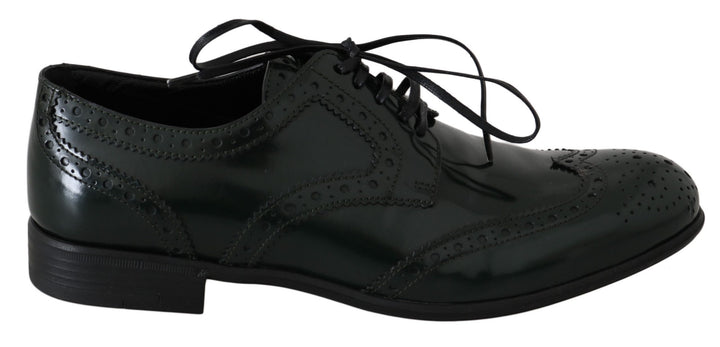 Zapatos Oxford Brogue con puntera de ala de cuero verde Dolce & Gabbana
