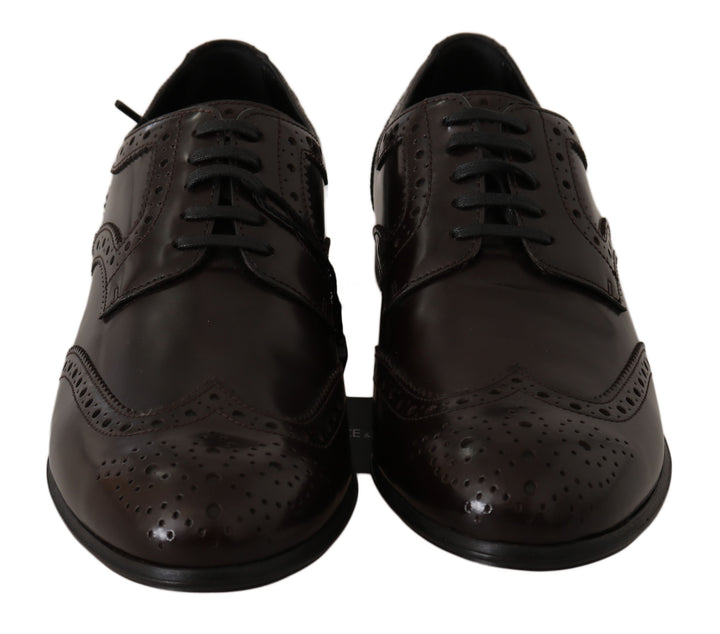 Zapatos Oxford Brogue con puntera de ala de cuero marrón Dolce & Gabbana