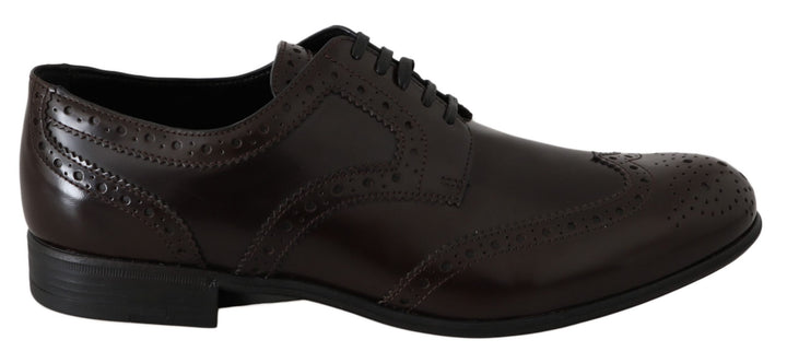 Zapatos Oxford Brogue con puntera de ala de cuero marrón Dolce & Gabbana