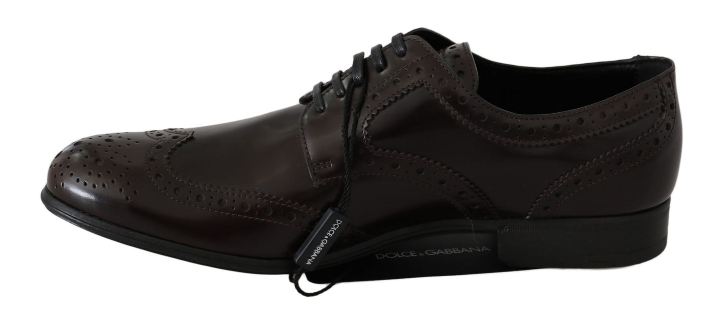 Chaussures richelieus Oxford marron en cuir Dolce & Gabbana