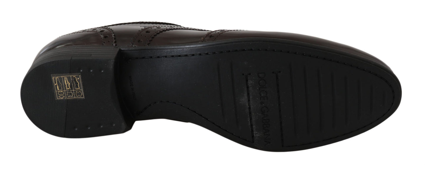 Chaussures richelieus Oxford marron en cuir Dolce & Gabbana