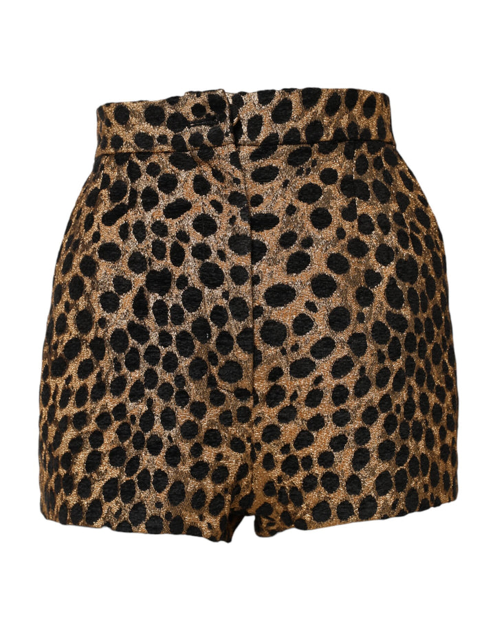 Dolce & Gabbana Shorts de talle alto con estampado de leopardo marrón