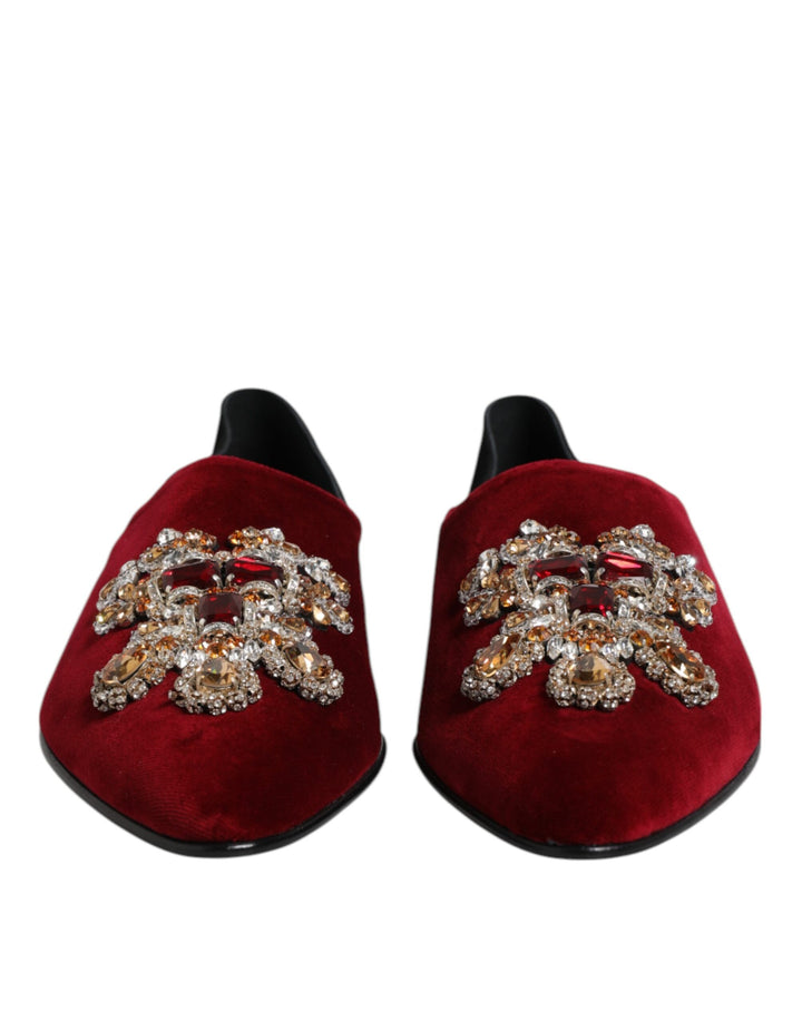 Zapatos destalonados Dolce & Gabbana negros y rojos de terciopelo adornado