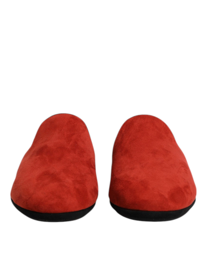 Chaussons plats en suède orange Dolce & Gabbana
