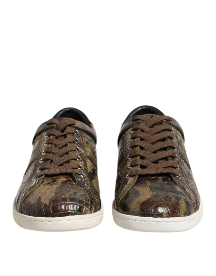 Zapatillas Bajas Dolce & Gabbana de Piel Exótica Marrón