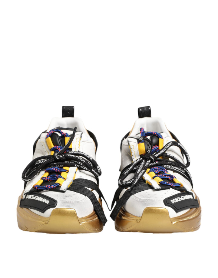 Zapatillas Bajas Dolce & Gabbana Multicolor Daymaster