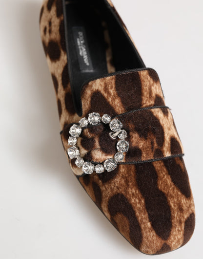 Dolce & Gabbana Zapatos Planos Mocasines Marrón Estampado Leopardo con Cristales