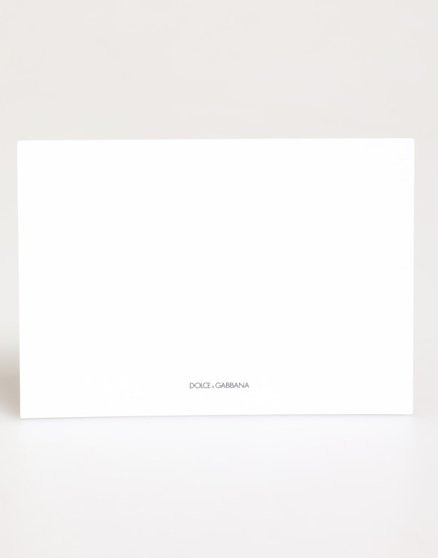 Porte-cartes en papier enveloppe à imprimé léopard multicolore Dolce & Gabbana