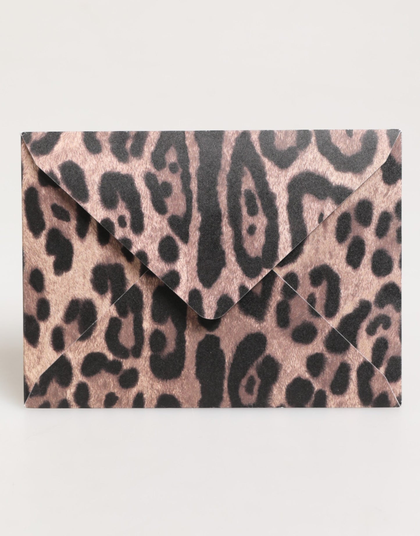 Porte-cartes en papier enveloppe à imprimé léopard multicolore Dolce & Gabbana