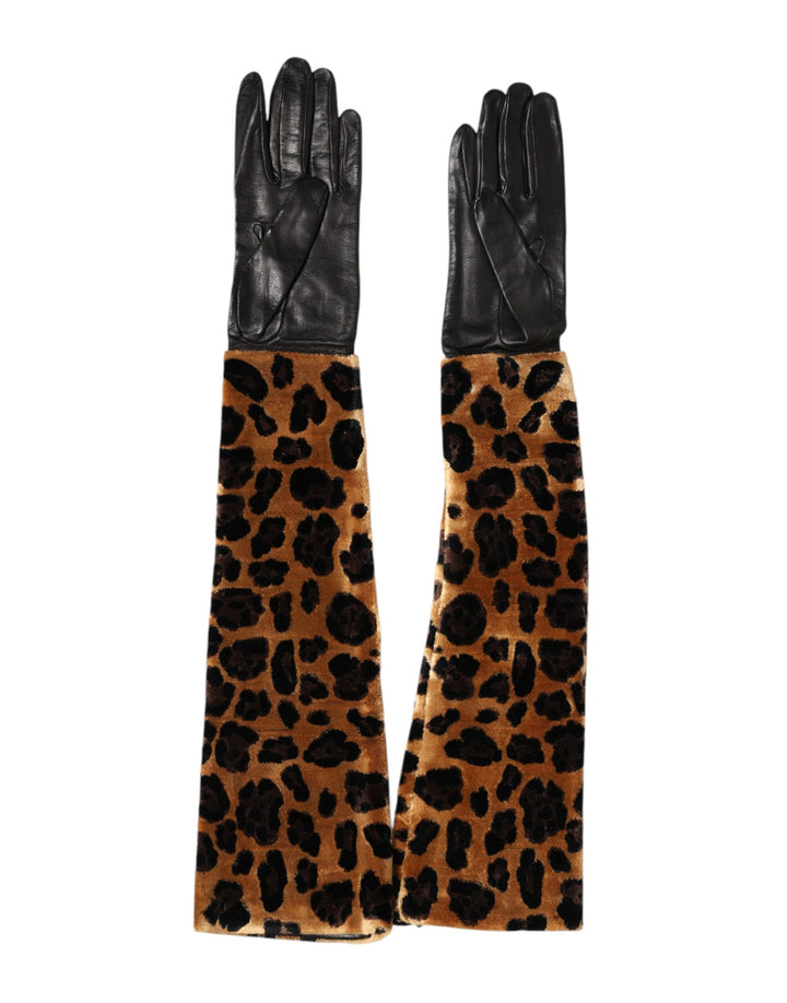 Mitaines en cuir léopard noir et marron Dolce & Gabbana longueur coude