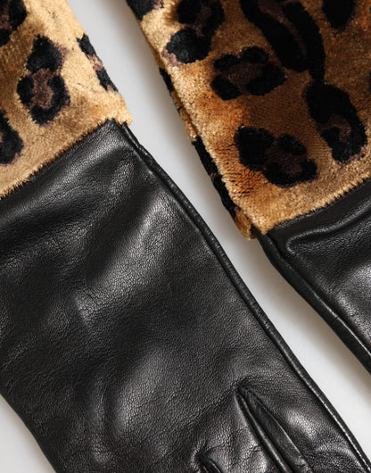 Mitaines en cuir léopard noir et marron Dolce & Gabbana longueur coude
