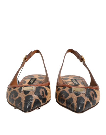 Zapatos planos con tiras traseras de leopardo marrones Dolce & Gabbana