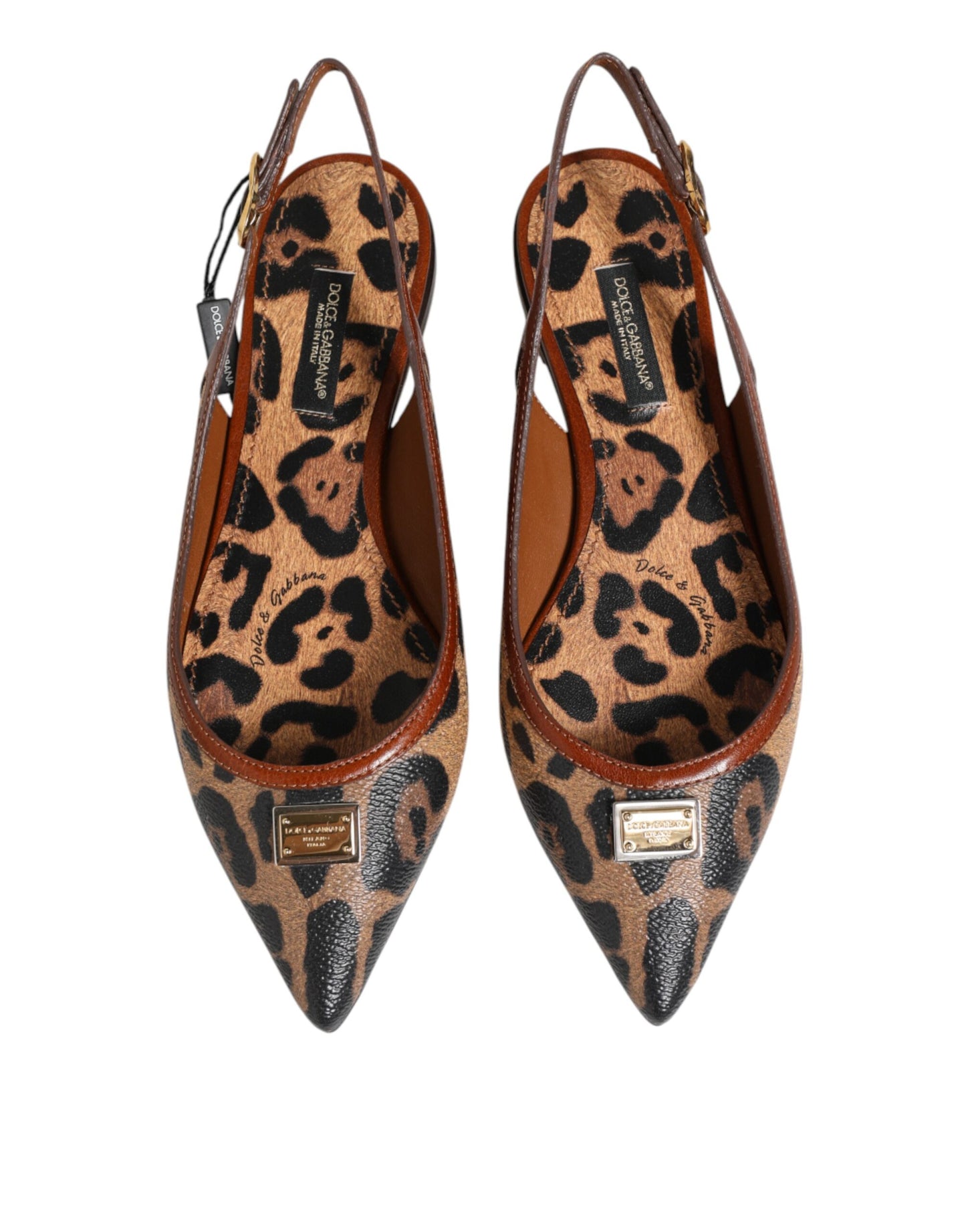 Zapatos planos con tiras traseras de leopardo marrones Dolce & Gabbana