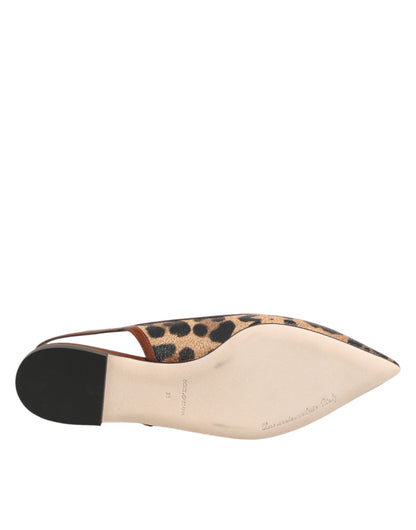 Zapatos planos con tiras traseras de leopardo marrones Dolce & Gabbana